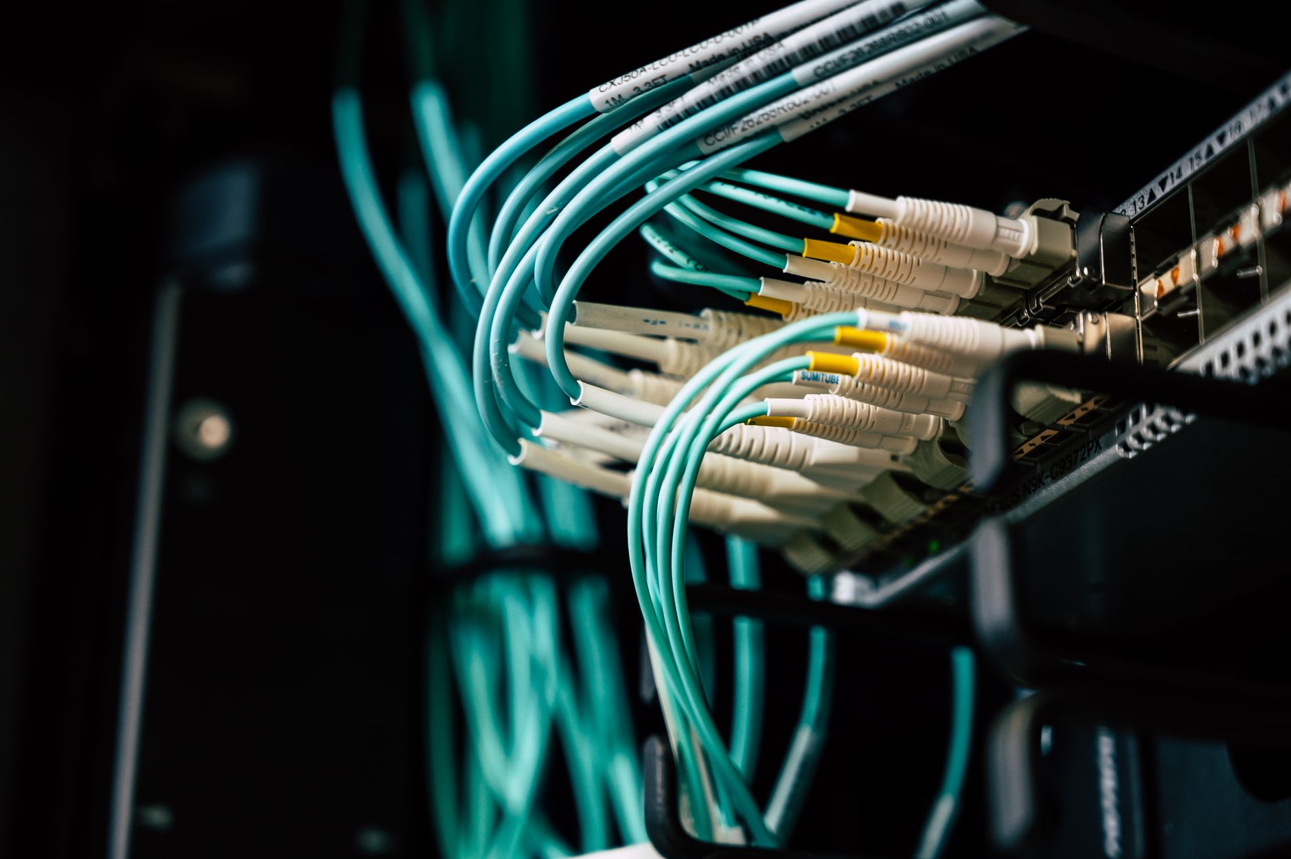 Rows of patch cables plugged into network switches inside a server rack