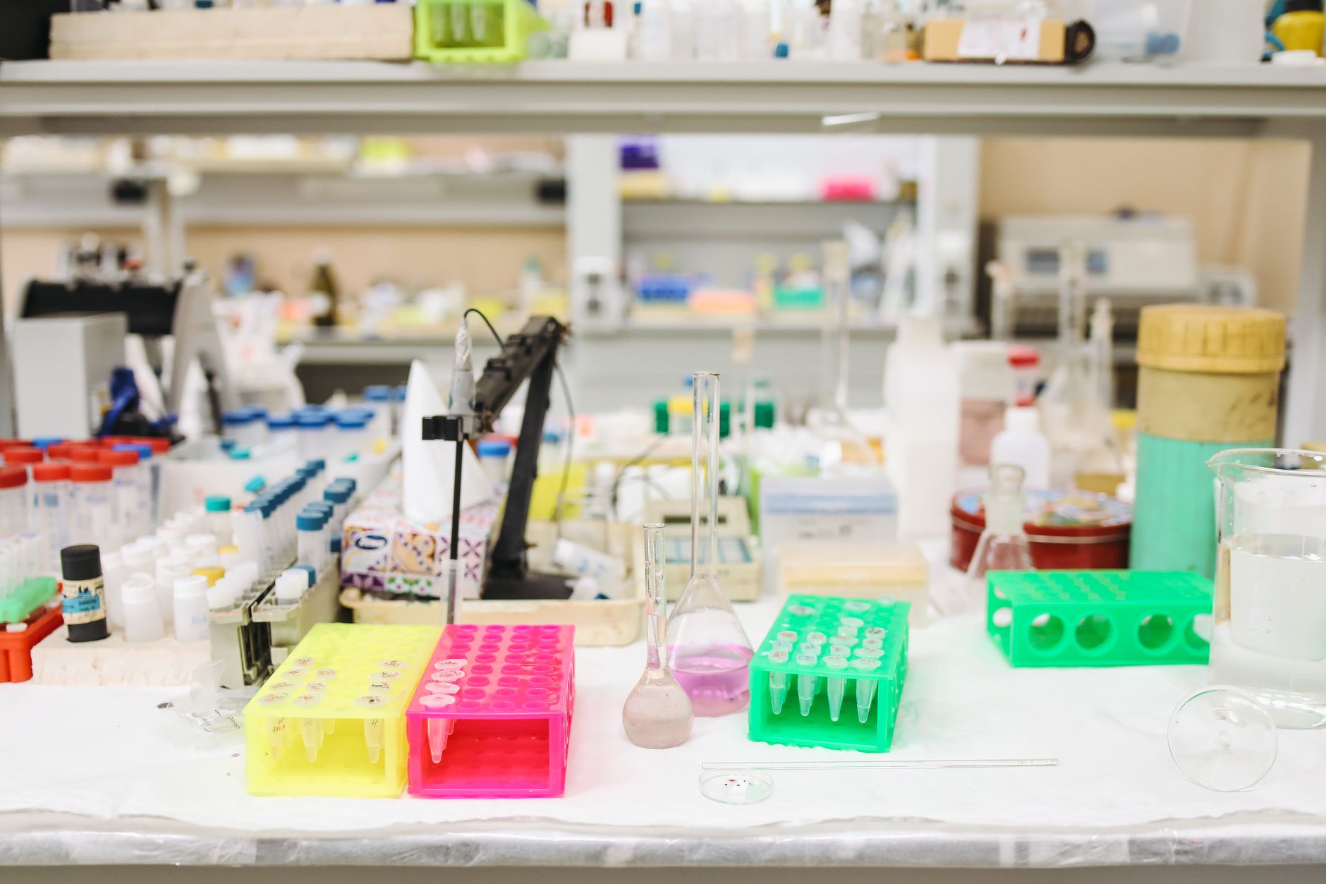 Laboratory glassware and pipettes arranged on a research bench.