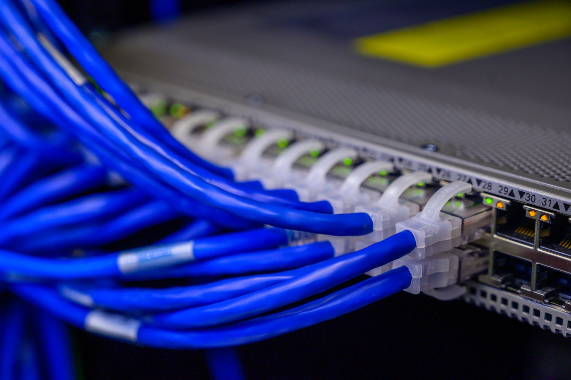Network patch cables plugged into a high-density server rack switch.