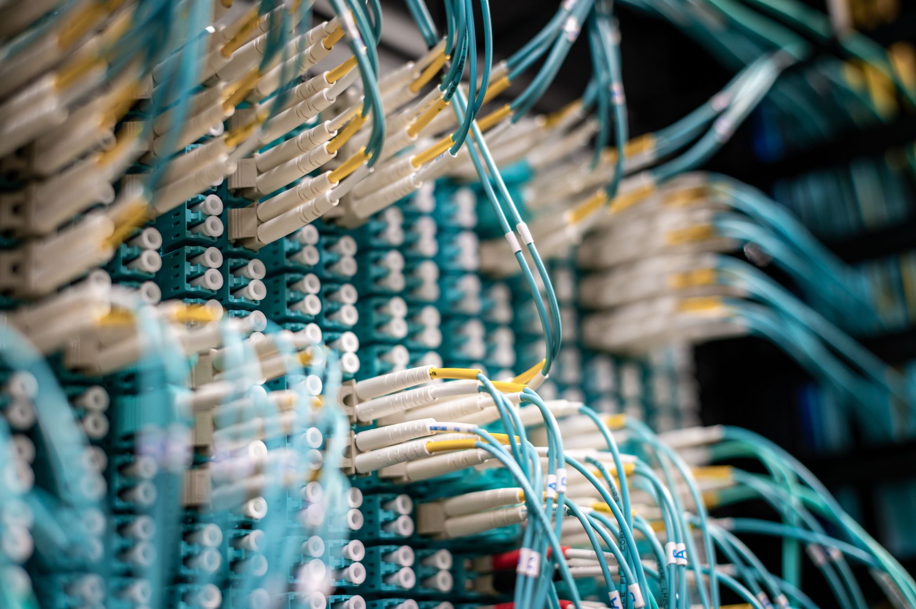 A close view of glowing fiber optic network cables plugged into data center servers