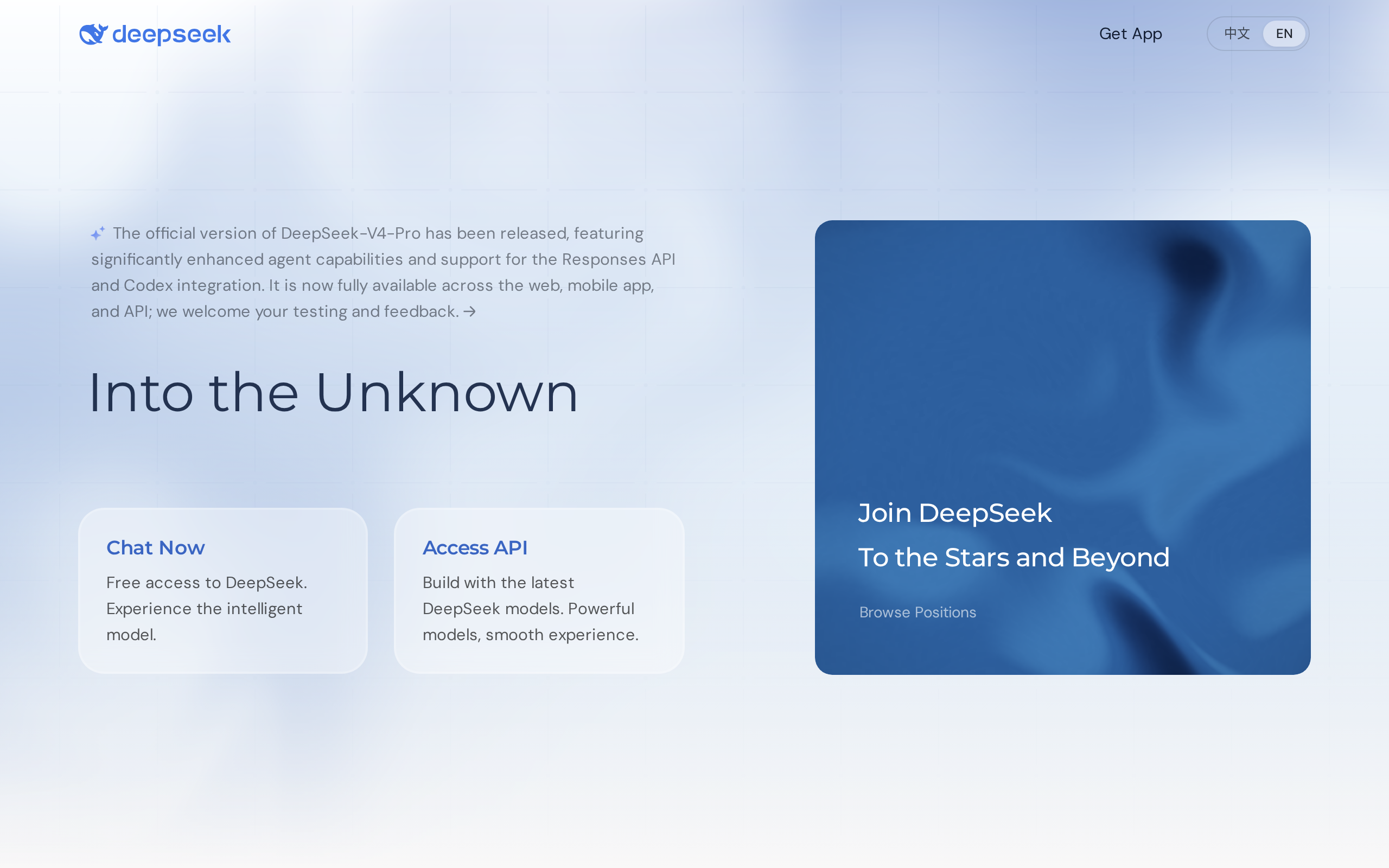 DeepSeek home page showing product entry points and a chat-style interface